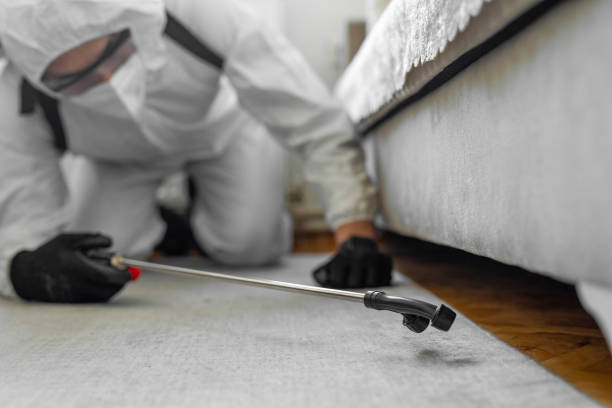 Professional Bed Bug Control technician working in Richlands, VA